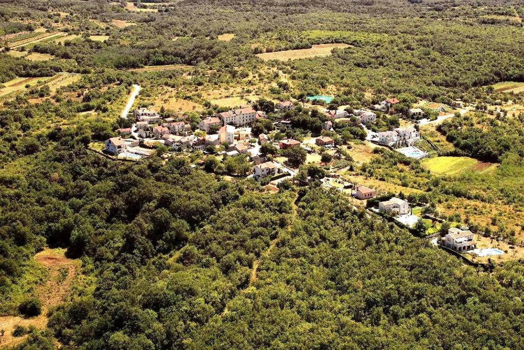 Villa Rustica Buje Exterior photo